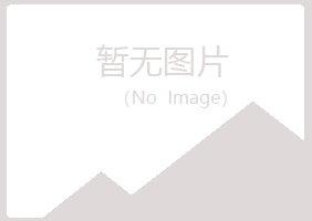 银川西夏如霜化学有限公司